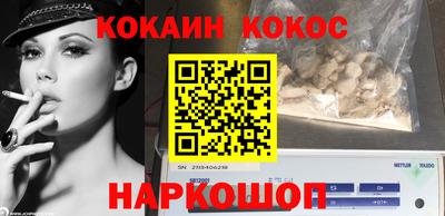 дурь Кингисепп