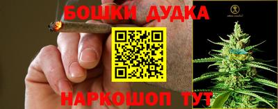 дурь Кингисепп