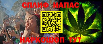 индика Кинель