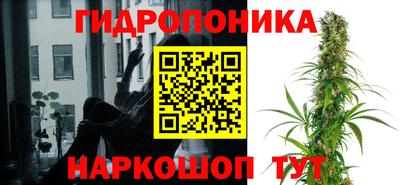 скорость Кимры
