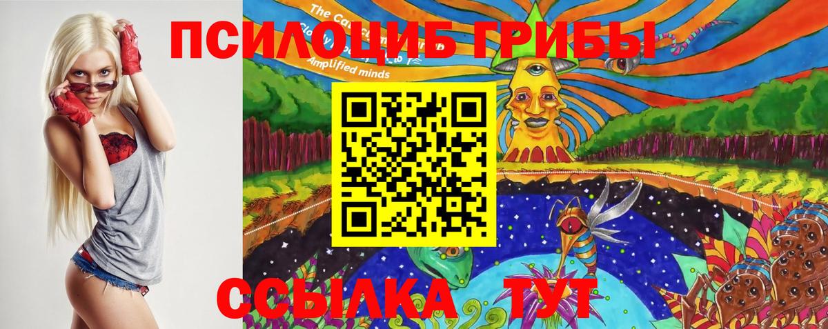 Псилоцибиновые грибы Cubensis Киреевск